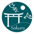Sakura branches and torii, ritual gates. Japan