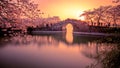 Sakura and bridge