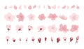 Sakura cherry blossom. Japanese cherry petals, falling spring flowers and sakura season vector icons set Royalty Free Stock Photo