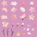 Sakura cherry blossom pack set Royalty Free Stock Photo