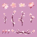 The collection of sakura or cherry blossom set