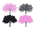 Sakura, cherry blossom tree in color and silhouettes