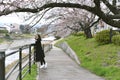 Sakura cherry blossoms full blooming, Asian woman traveler under the pink flower tree.