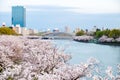 Sakura cherry blossoms next to river view sakuranomiya park, bridge view with Osaka castle behind, sakura trees along the river si Royalty Free Stock Photo
