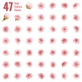 Sakura cherry icon set of 47 flower. EPS 10