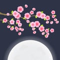 Sakura Cherry Tree on Sky with Huge Moon