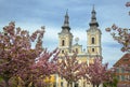 Sakura and church - Miscolc