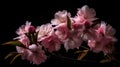 Sakura Dreamscape: A Cherry Blossom Fantasy