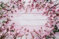 Sakura elegance empty wooden table adorned with sakura flowers illustration