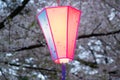 Sakura Festival lantern at Omiya Park,Saitama,Japan in spring.