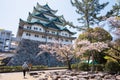 Sakura flower floating at Nagoya castle