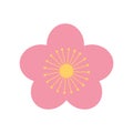 Sakura flower nature oriental element decoration color design