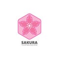 sakura flower vector illustration design Royalty Free Stock Photo