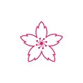 sakura flower vector illustration design Royalty Free Stock Photo
