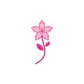 sakura flower vector illustration design Royalty Free Stock Photo