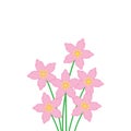 sakura flower vector illustration design Royalty Free Stock Photo