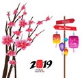 Sakura flowers background. Cherry blossom and lantern isolated white background. Chinese new year Royalty Free Stock Photo