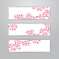 Sakura flowers banners Royalty Free Stock Photo