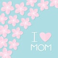Sakura flowers corner frame Japan blooming cherry blossom set Blue background I love mom Happy mothers day Text with heart sign Gr Royalty Free Stock Photo