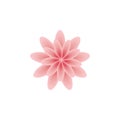 Sakura flowers icon , cherry blossom vector Royalty Free Stock Photo