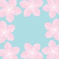 Sakura flowers Japan blooming cherry blossom set Blue background Template Flat design Royalty Free Stock Photo