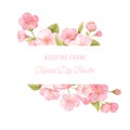 Sakura flowers realistic floral banner. Cherry blossom vector wedding card design. Spring flower illustration Royalty Free Stock Photo