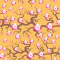 Sakura flowers seamless pattern Nature background with blossom branch of pink flowers. Cherry tree brown branches japanese pattern Royalty Free Stock Photo