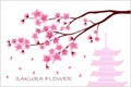 Sakura flowers vector illustration. n