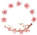 Sakura flowers watercolor illustration. Blossom petal wreath
