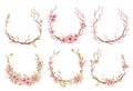 Sakura flowers watercolor illustration. Blossom petal wreath