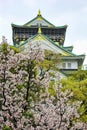 Sakura in front of Castle Royalty Free Stock Photo