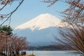 Sakura & Fuji