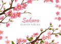 Sakura. Greeting card banner or invitation card with blossom sakura flowers. Blooming flowers illustration wedding