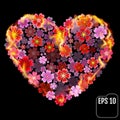 Sakura heart in fire isolated on black background. Fire heart wi