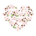Sakura heart. Watercolor illustration. Isolated on a white background.For design
