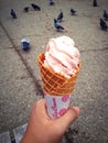 Sakura icecream Royalty Free Stock Photo