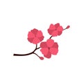 Sakura icon, flat style