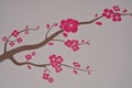 Sakura Royalty Free Stock Photo