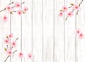 Sakura japan cherry branch on wooden background.