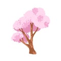 Sakura, Japanese cherry blossom tree. Asian floral plant, oriental sacura blooms on branches, trunk. Gorgeous spring