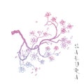 Sakura japanese cherry branch with flowers vector illustration. Blossoming tree with falling petals hand drawn sketch.