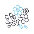 sakura line icon, outline symbol, vector illustration, concept sign