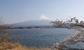 Sakura with Mount Fuji Kawaguchiko lake in spring Royalty Free Stock Photo