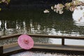 Sakura and oiled paper umbrella