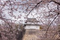 Sakura Osaka Castle, beautiful.