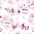 Delicate floral seamless pattern with pink-white sakura flowers and branches, cherry inflorescence.