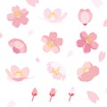 Sakura pattern or cherry bloossom set Royalty Free Stock Photo