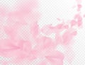 Sakura petal flying vector background. Pink flower petals wave illustration isolated on transparent white. 3D romantic valentines