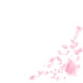 Sakura petals falling down. Romantic pink flowers