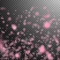 Sakura petals falling down. Romantic pink flowers gradient. Flying petals on transparent square back